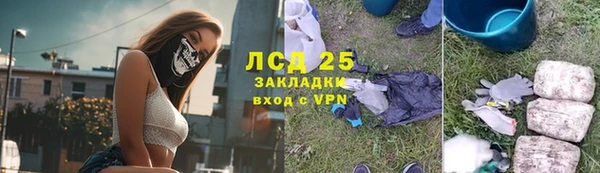 прущие грибы Балахна