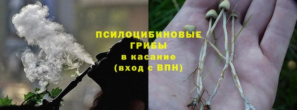 прущие грибы Балахна