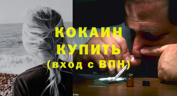ПСИЛОЦИБИНОВЫЕ ГРИБЫ Карталы