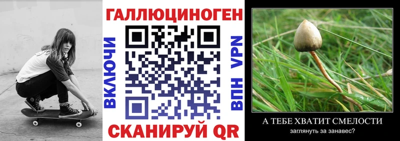 Галлюциногенные грибы Psilocybe  Ельня 